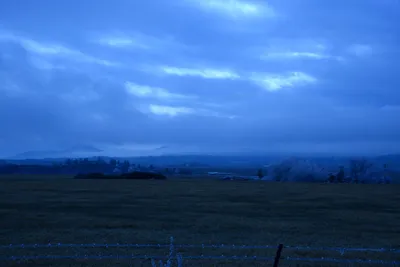 DSC_1097 (Large).JPG